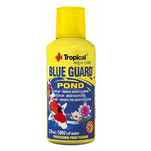 Blue Guard Pond.jpg
